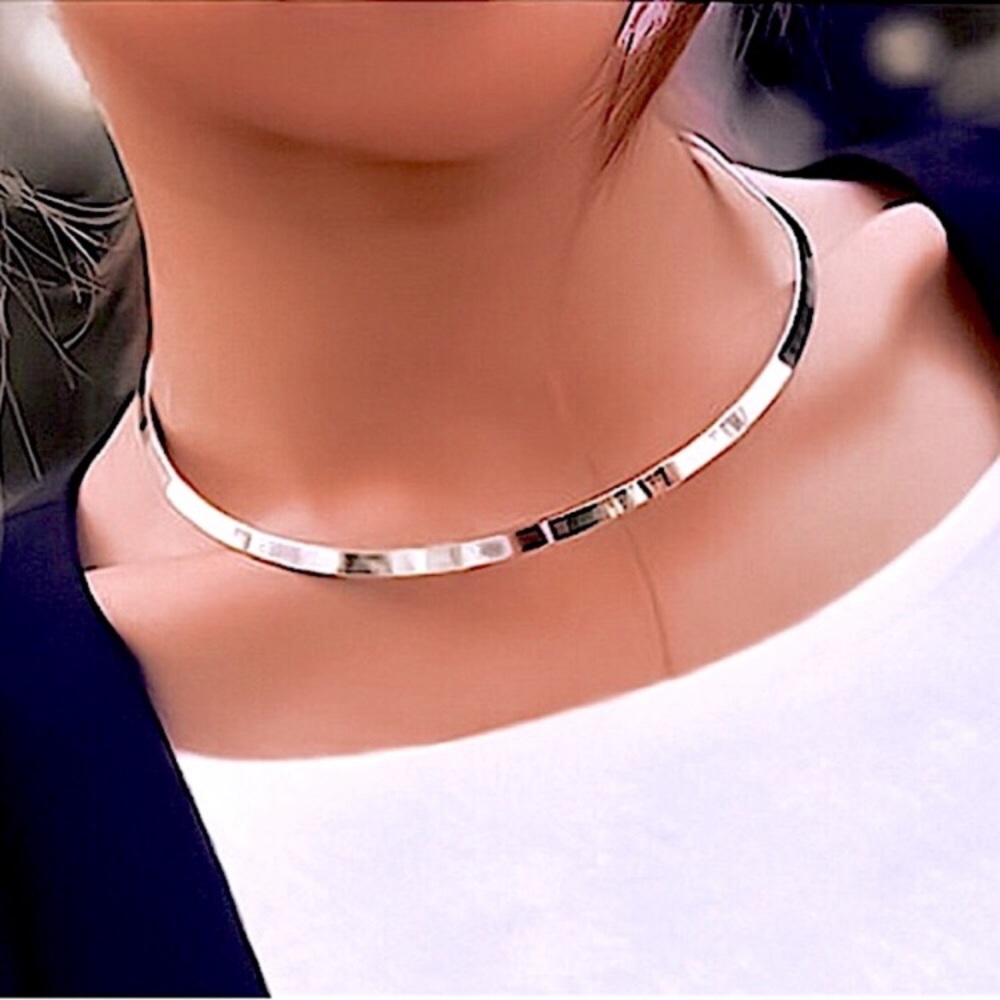 💜10/$25💜NEW Silver Minimalist Rigid Collar